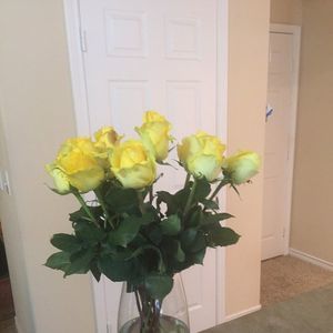 Meet your Posher, Judy